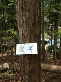 名栗ブログR7　5月2日　川村　５.jpg